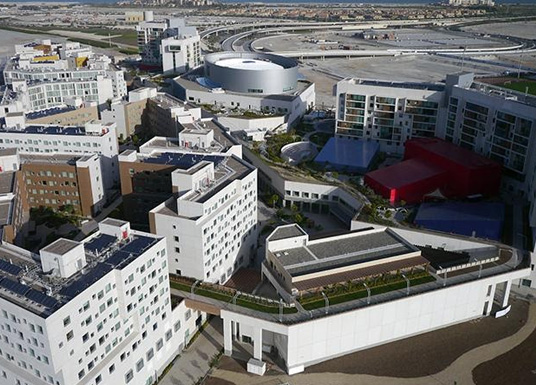 New York University and Marina Mosque